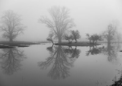 Reflections In The Flood